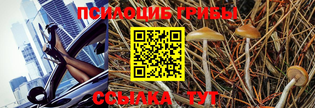 Псилоцибиновые грибы прущие грибы  Вход с VPN  Псилоцибиновые грибы Psilocybe  Верхняя Пышма 
